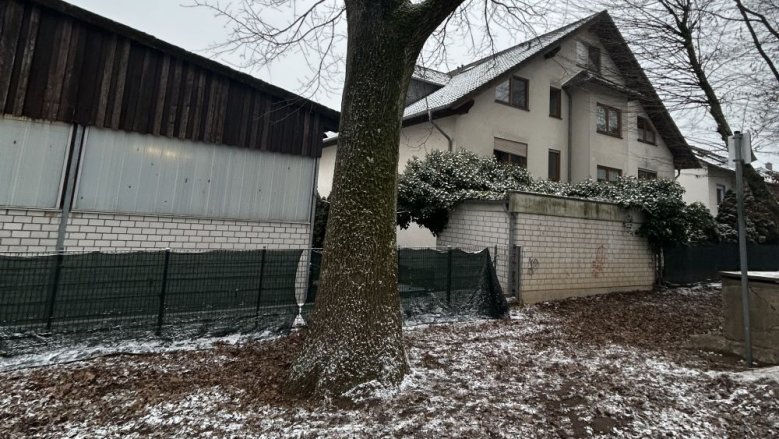 Baumfällung GGS Kaldauen