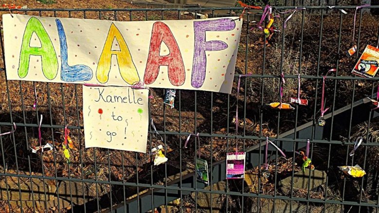 Kamelle to go Kamelle to go