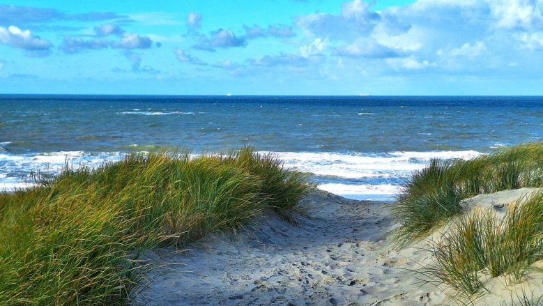 Texel Texel