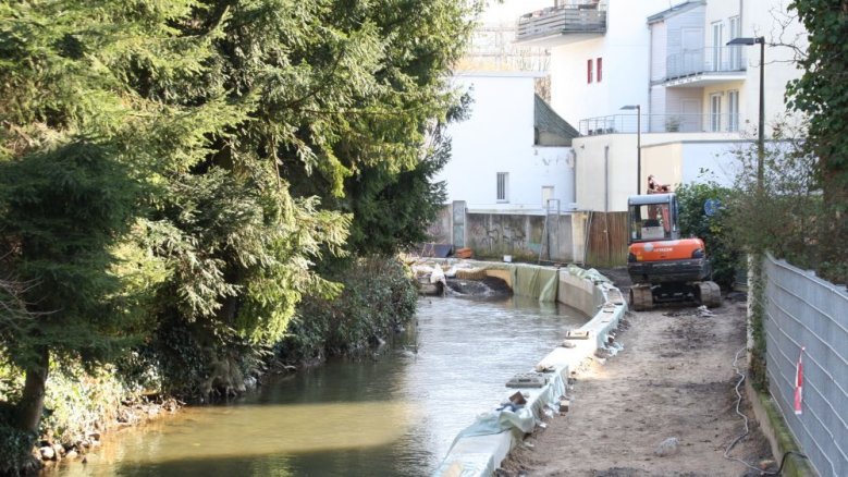 Leinpfad 2011 Leinpfad 2011