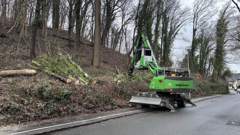 Fällarbeiten Wolsberg Fällarbeiten Wolsberg
