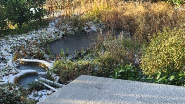 Winter Gartenteich