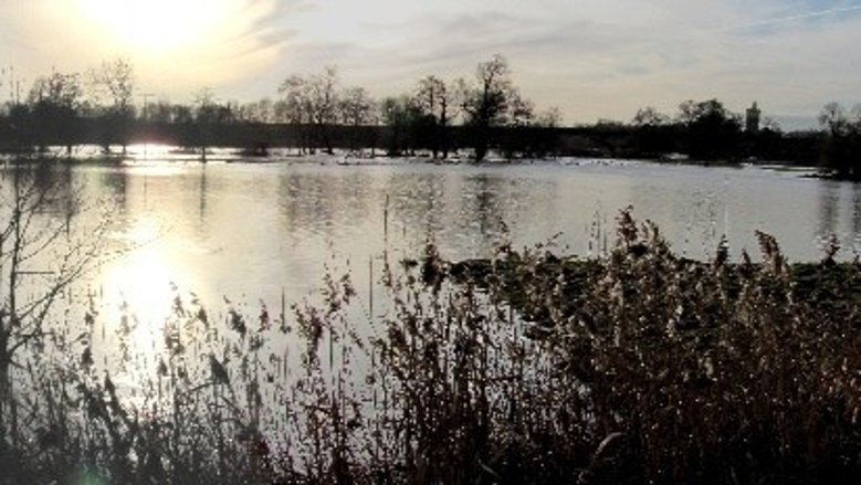 Hochwasser 2011 Siegburger Seenplatte Hochwasser 2011 Siegburger Seenplatte