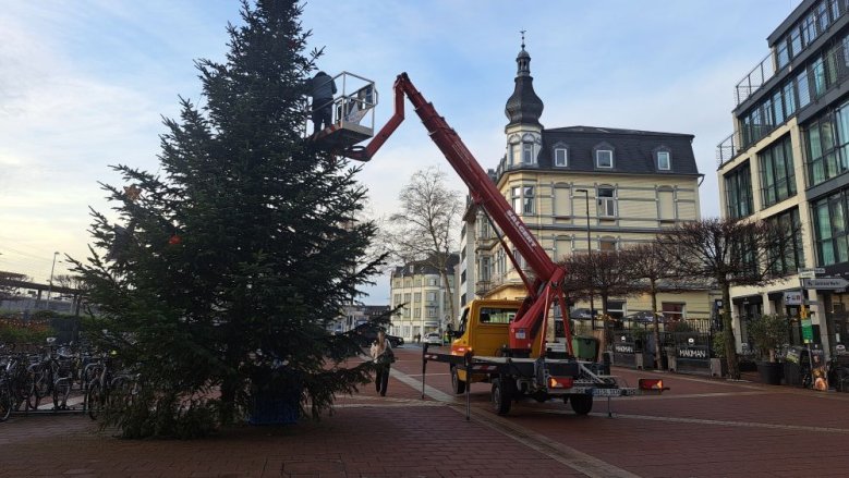 Abbau Weihnachtsbaum