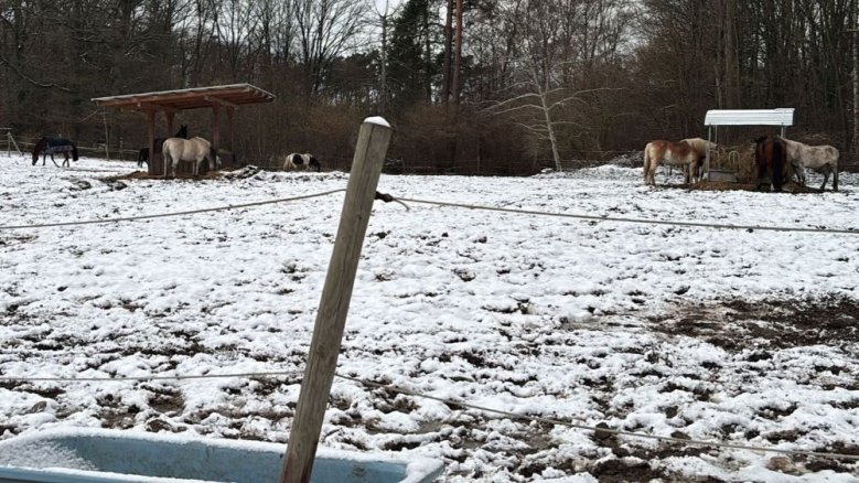 Reitsportzentrum Reitsportzentrum