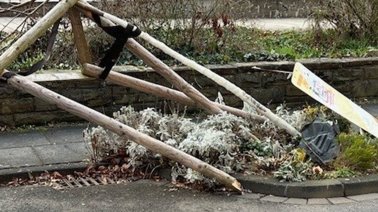 umgefahrener Baum umgefahrener Baum