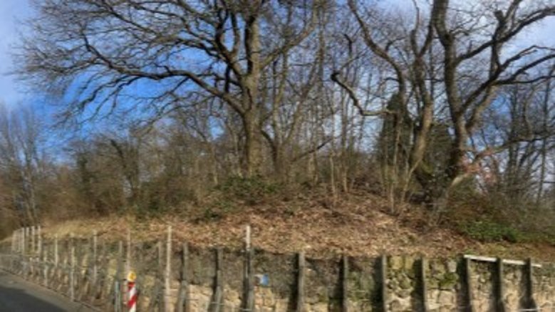 Rodungsarbeiten Riembergstraße Rodungsarbeiten Riembergstraße