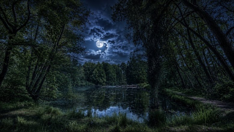 Satllberger Teiche bei Nacht KI-generiert Satllberger Teiche bei Nacht KI-generiert
