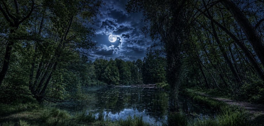 Satllberger Teiche bei Nacht KI-generiert