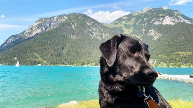 Achensee Achensee