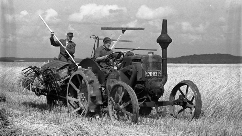Roggenernte auf Rügen 1949