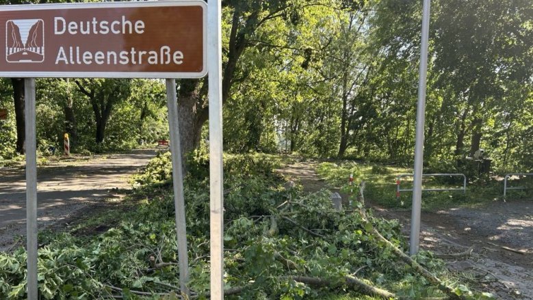 Wahnbachtalstraße Sturmschäden Wahnbachtalstraße Sturmschäden