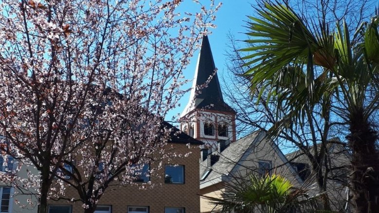 Frühlingsanfang Frühlingsanfang