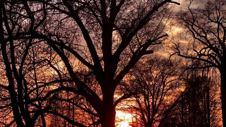 Sonnenuntergang Sonnenuntergang