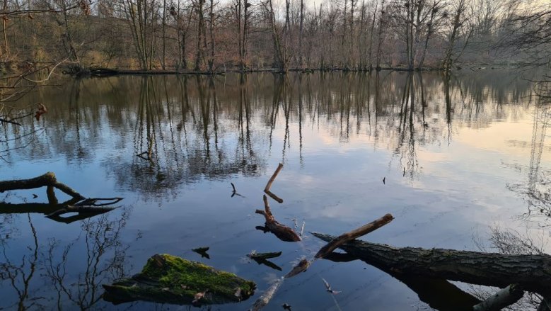 Trerichsweiher Trerichsweiher