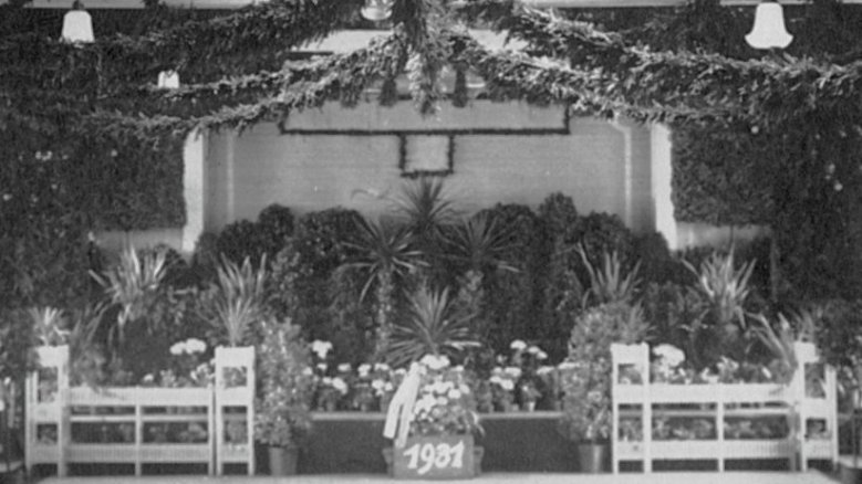 Flora