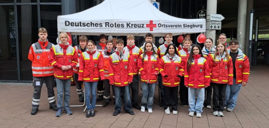 Weltrotkreuztag