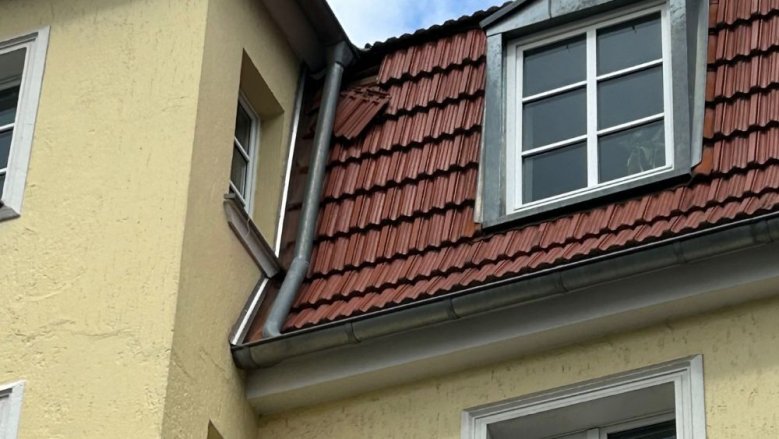 FW Dachpfannen
