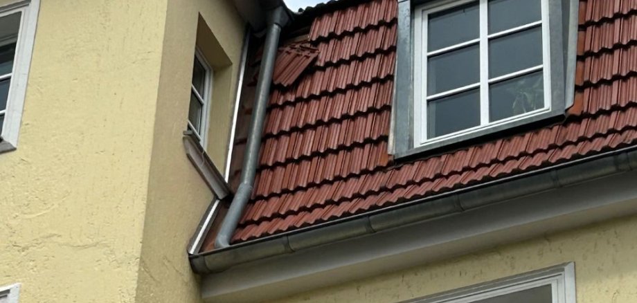 FW Dachpfannen