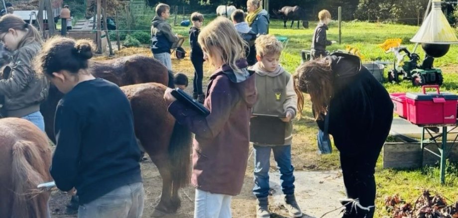 Realschule FREIday Realschule FREIday