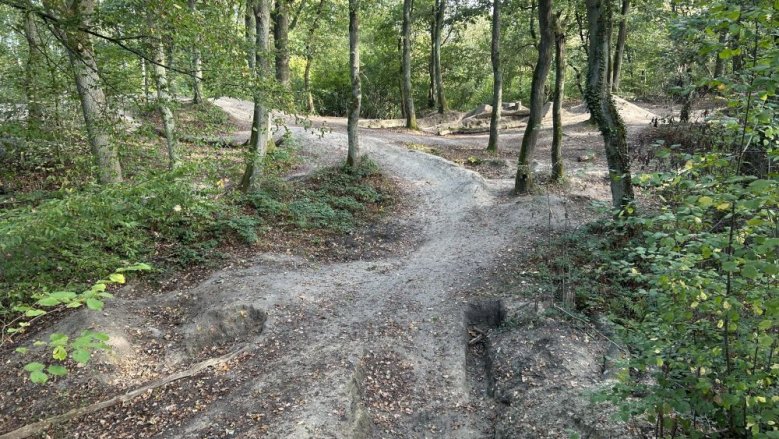 MTB-Trail Seidenberg MTB-Trail Seidenberg