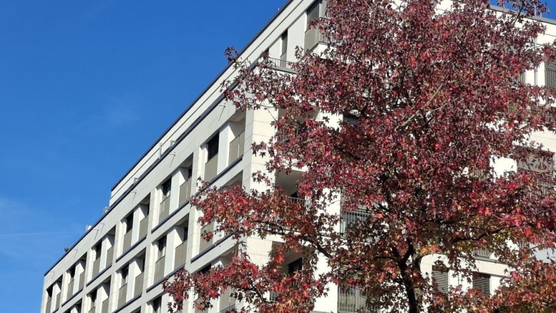 Herbst