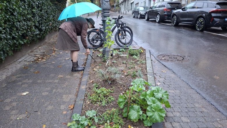 GRünflächenpflege