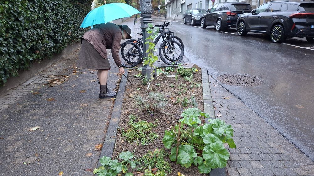 GRünflächenpflege