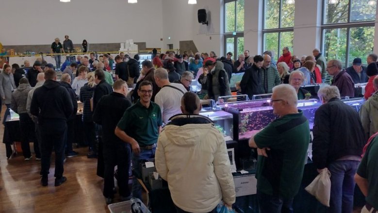 Aquaristik-Börse Aquaristik-Börse