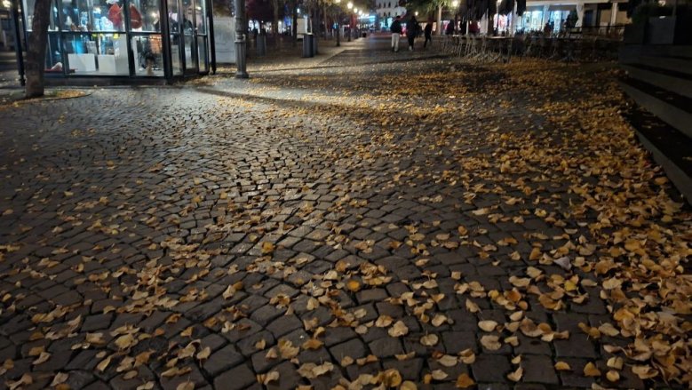 Herbstlaub Markt Herbstlaub Markt