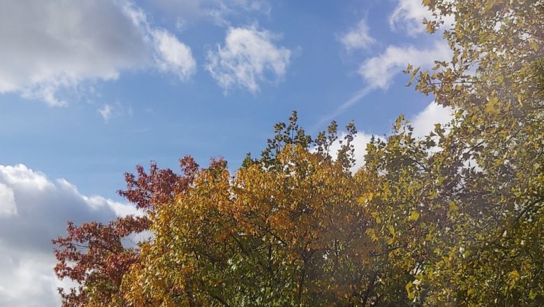 Goldener Oktober.jpg