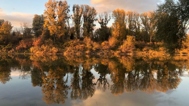 Nationalpark Donau-Auen