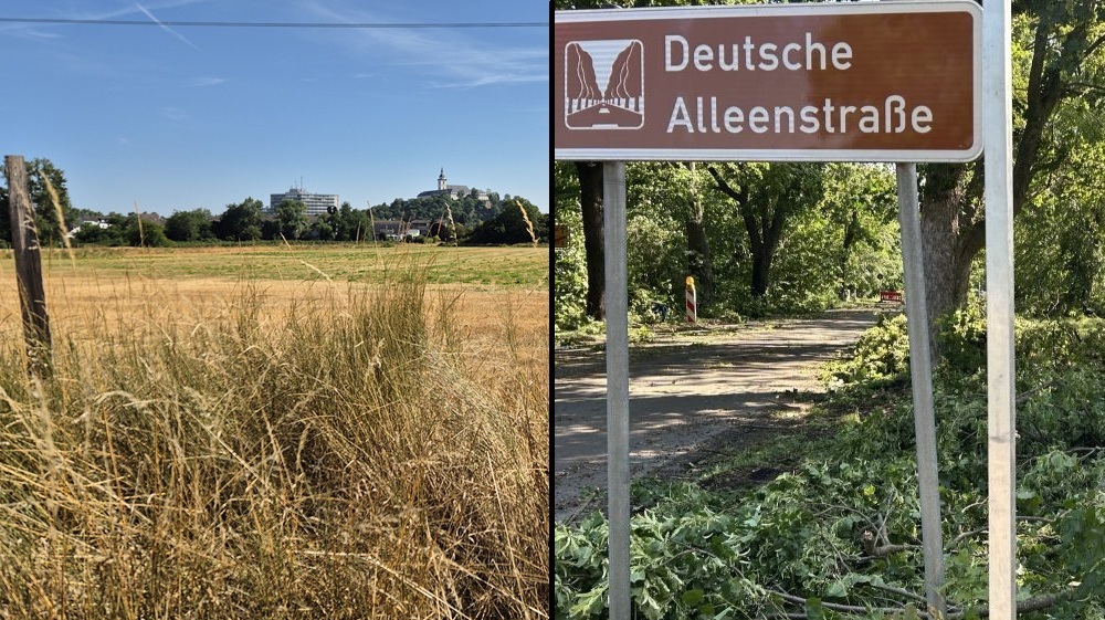 Sommer 2026