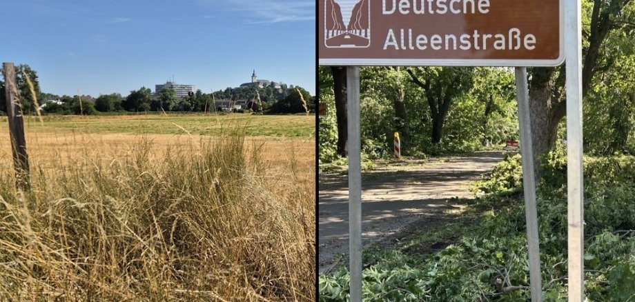 Sommer 2026