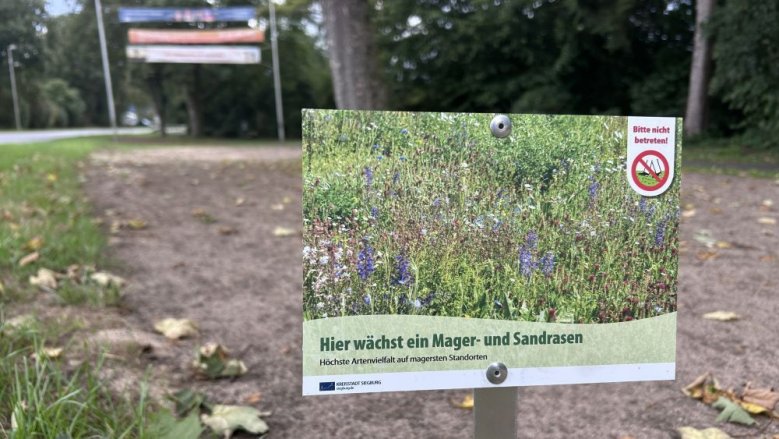 Blühstreifen Stallberg Blühstreifen Stallberg