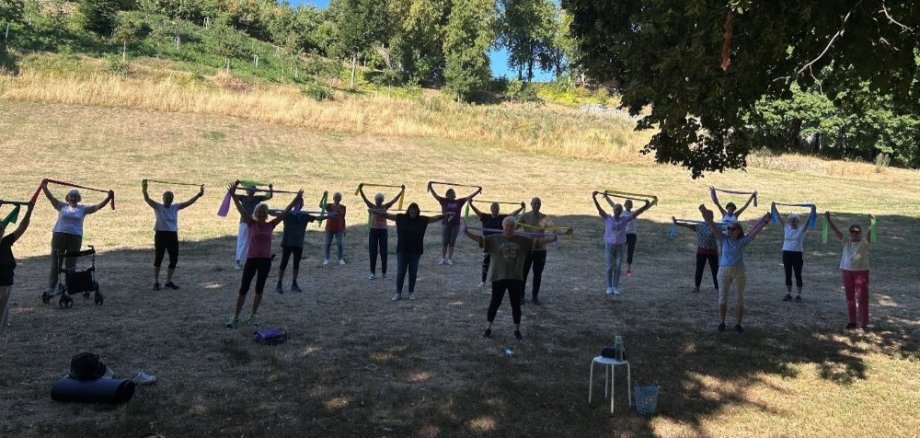 Sport im Park Sport im Park