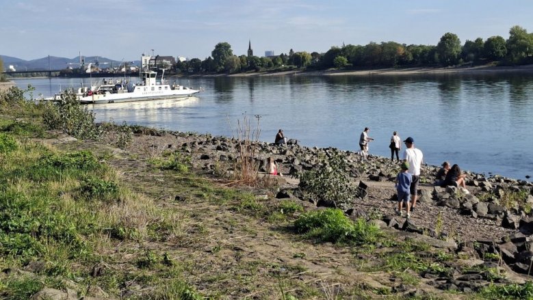 Rheinniedrigwasser Rheinniedrigwasser