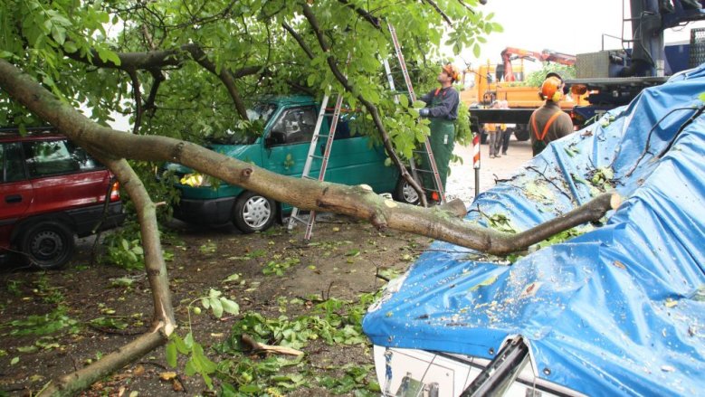 Baum Feuerwehr Boot 2011 Baum Feuerwehr Boot 2011