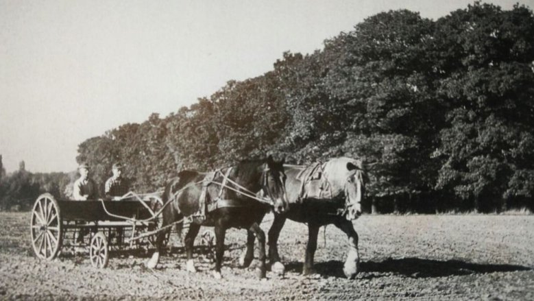 Flögerbösch 1958