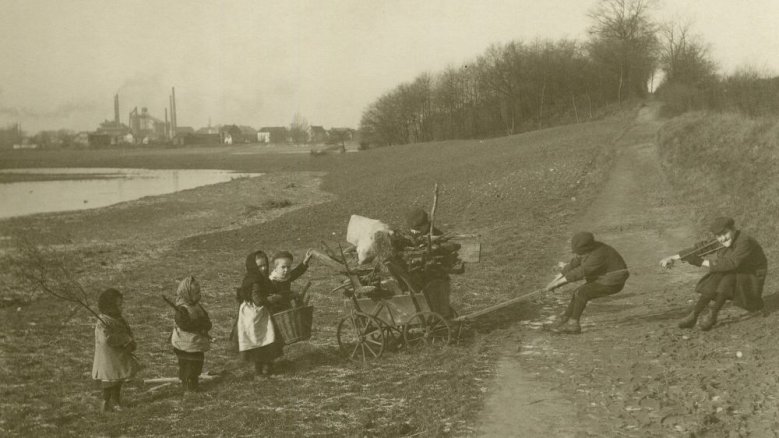 Holzsammler