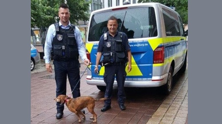 Ordnungsamt mit streunendem Hund 2021 Ordnungsamt mit streunendem Hund 2021