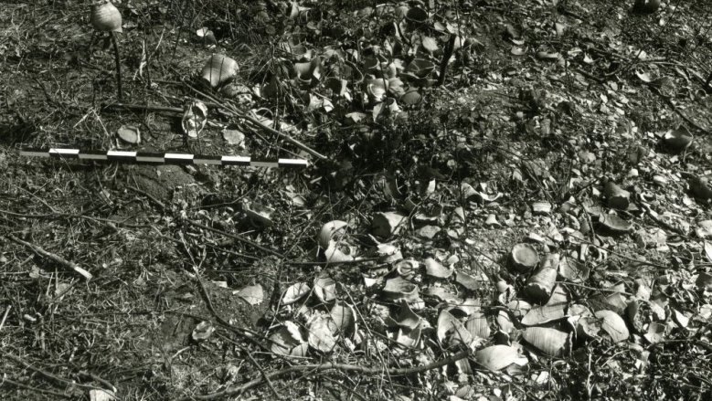 Scherbenhügel 2 Scherbenhügel 2