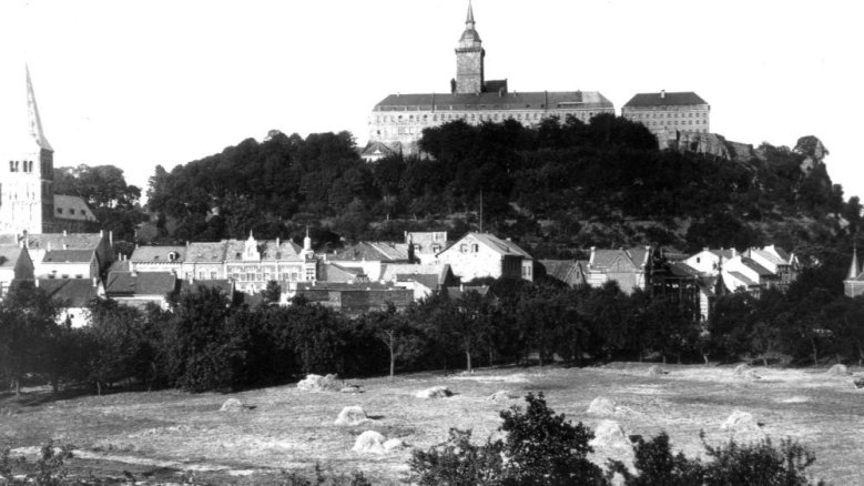 Tierbungert 1915
