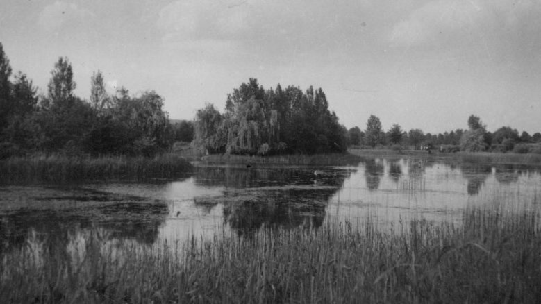 trerichsweiher trerichsweiher