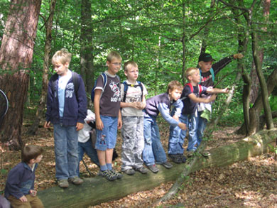Kinder balancieren auf einem Baumstamm im Wald