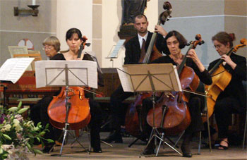 Das Bild zeigt die Rhein-Sieg-Kammersolisten bei einem Konzert