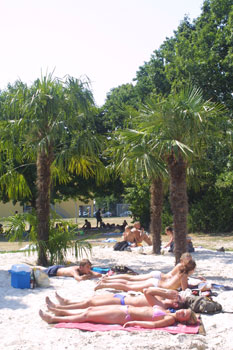 Das Bild zeigt die Freibadbesucher unter Palmen im Oktopus
