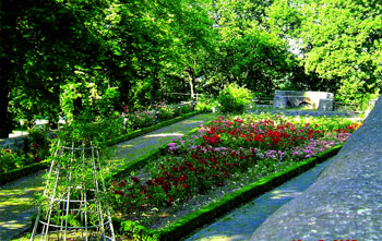 Der Rosengarten der Siegburger Abtei