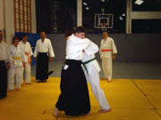 Das Bild zeigt die japanische Kampfkunst
