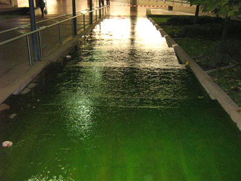Das Bild zeigt den grünen Wasserlauf am Bahnhof